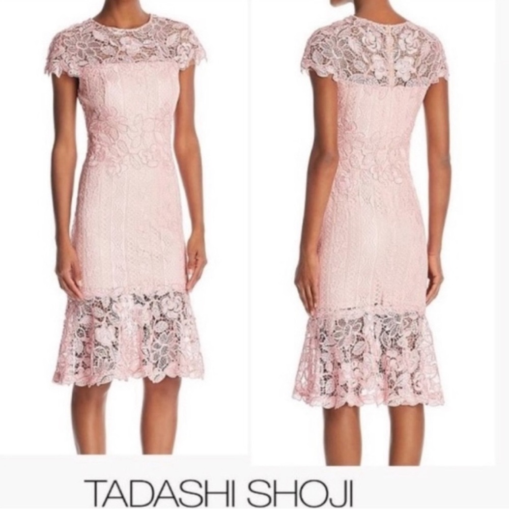 Tadashi Shoji corded pink lace scalloped edge midi dress